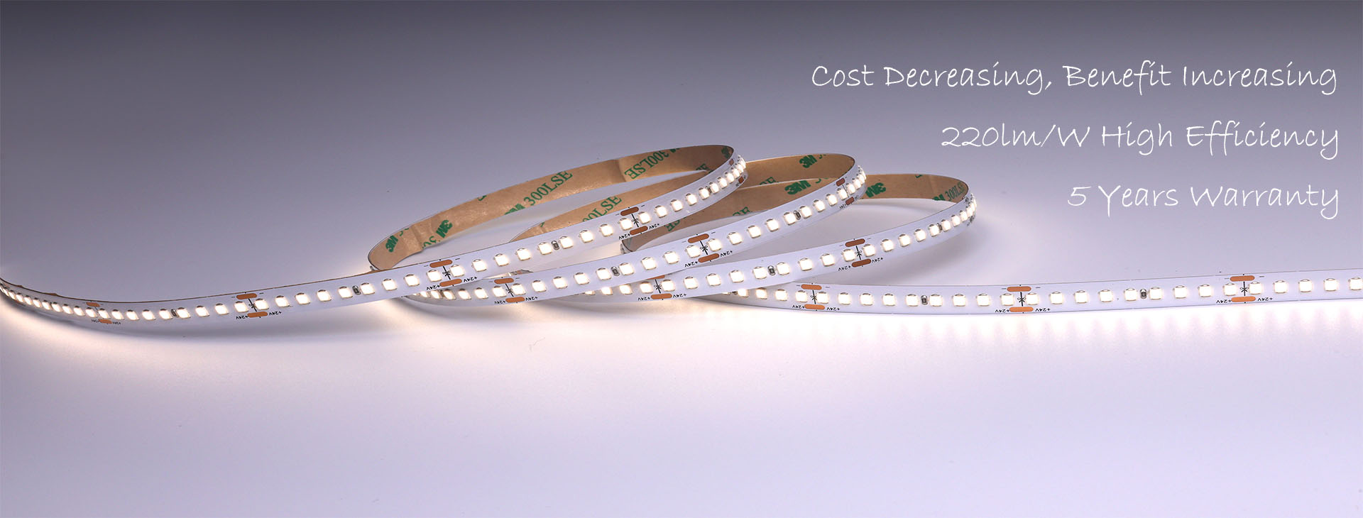 220LMW LED STRIP LIGHT